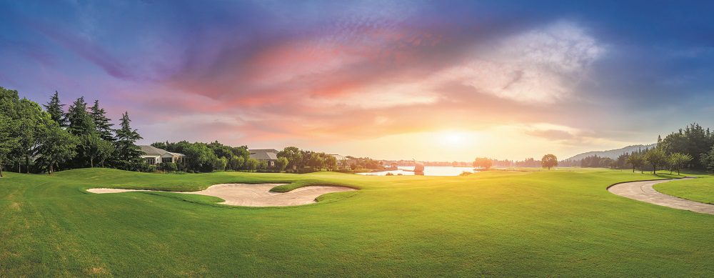 Green grass and woods on a golf field