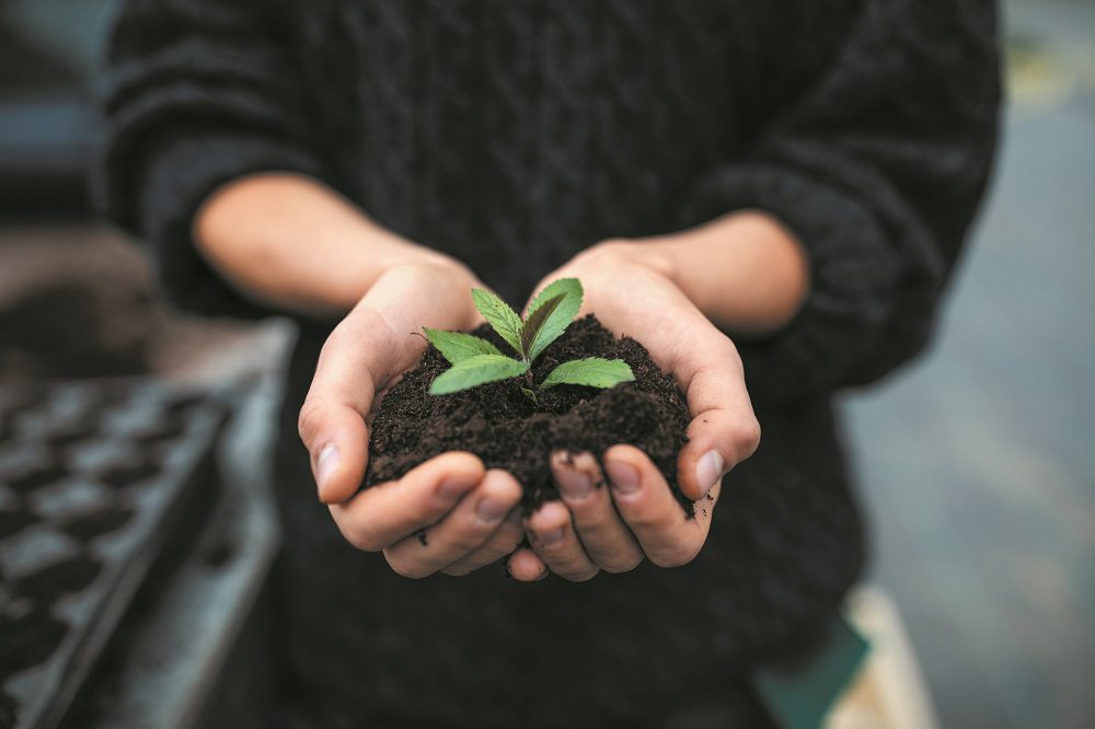 Female gardener holding a sapling with soil