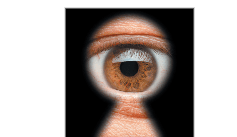 BLP_8-15-22_gi-183053745