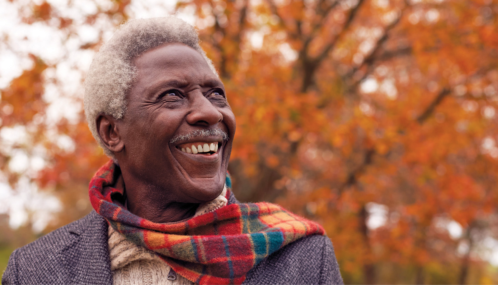 2411_BLH_gi_1388964231