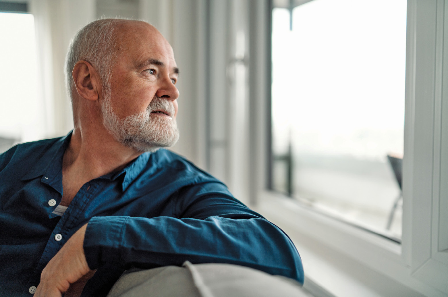 2503_BLH_gi_1386179298