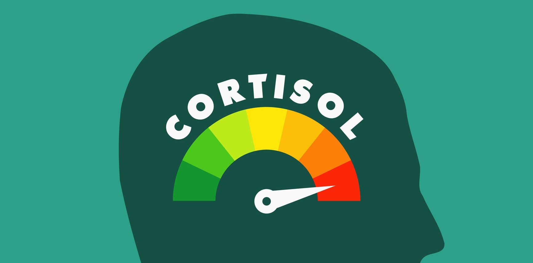 Cortisol level - stress hormone