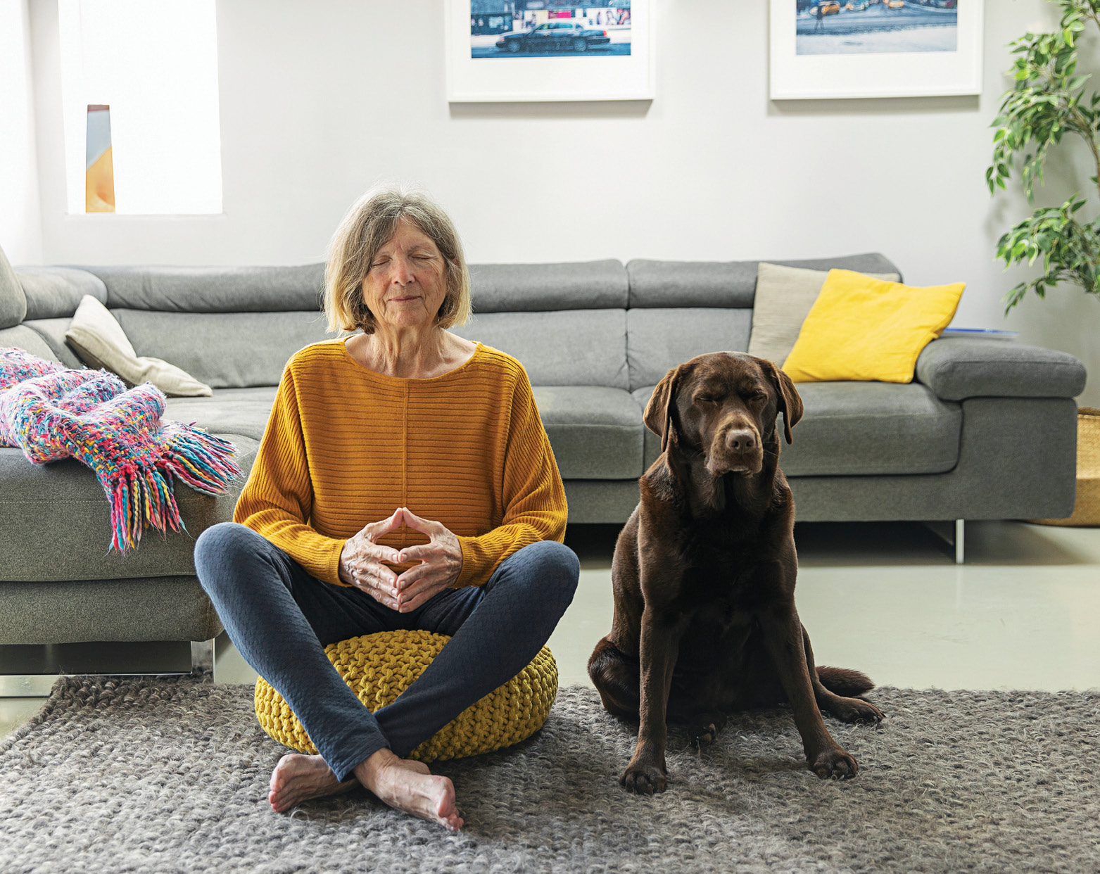 2504_BLH_gi_1318609576