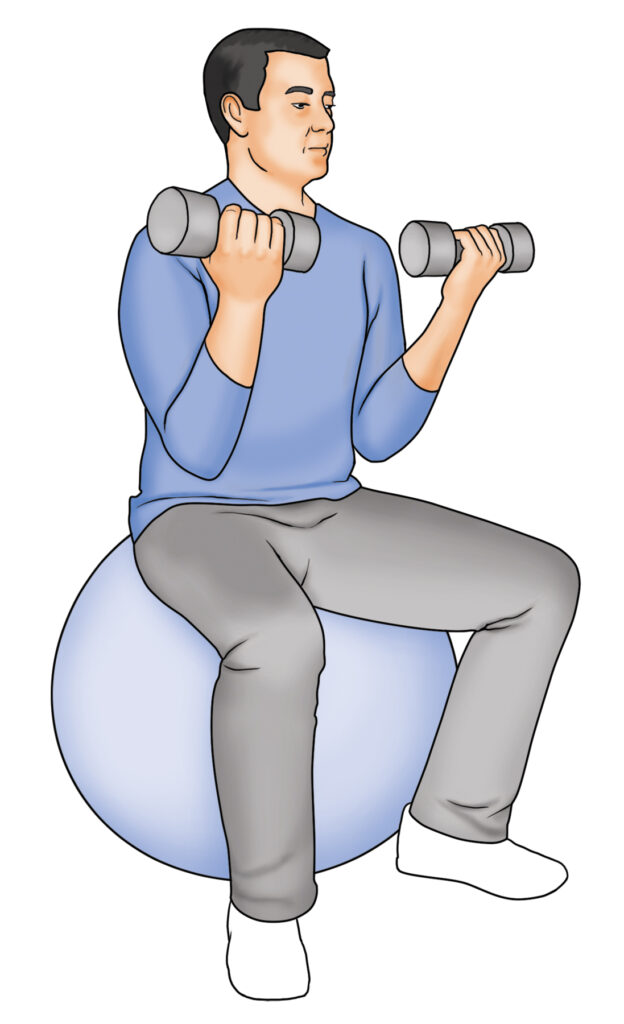 Instructional diagram of bicep curls performed while seated on a yoga ball. 