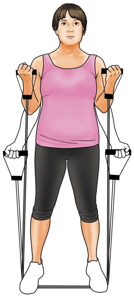 Diagram of bicep curls performed with a resistance band.