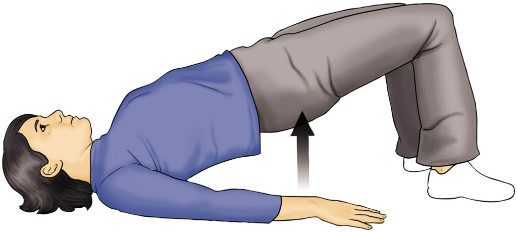 Diagram of a woman performing the bridges core workout supported by her shoulders and the soles of her feet resting against the floor while her body is suspended "bridging," the gap.